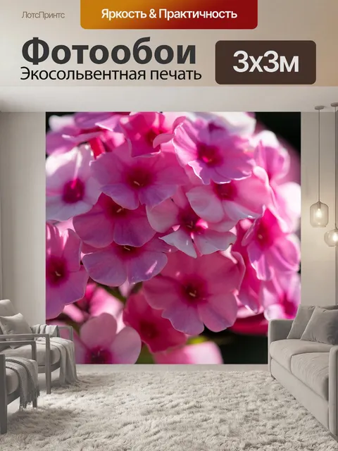 Фотообои Сад флоксов
