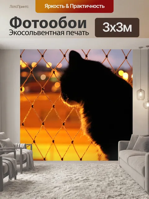 Фотообои Кот