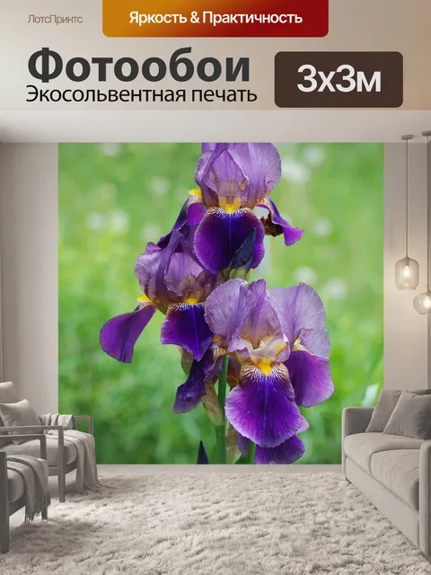 Фотообои Ирис
