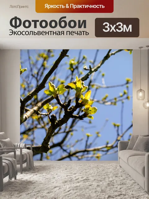 Фотообои Весна