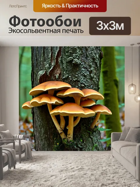 Фотообои грибы биология: вдохновение природой