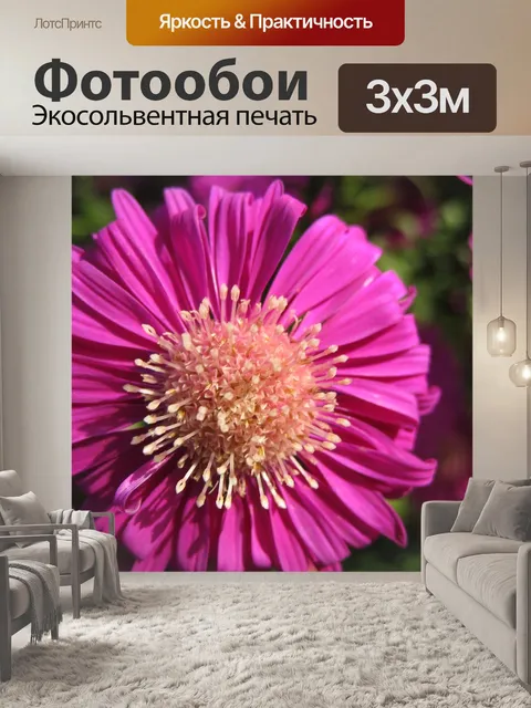 Фотообои Цветок