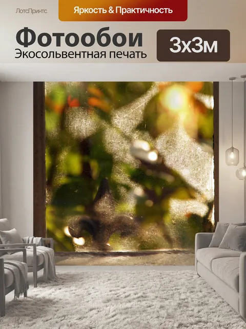 Фотообои Окно старая паутина фото