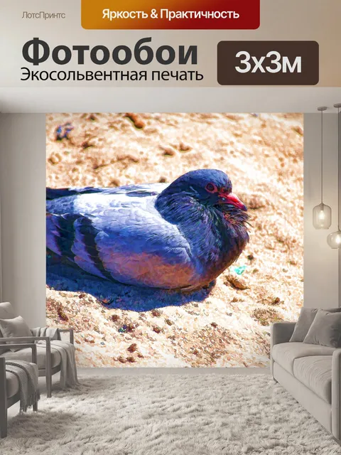 Фотообои Окрашенный голубь