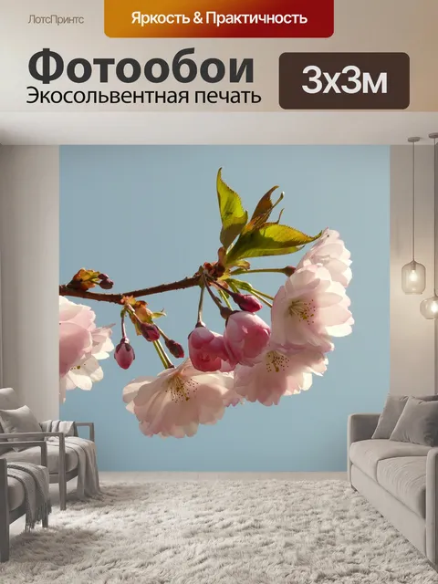 Фотообои Вишня в цвету