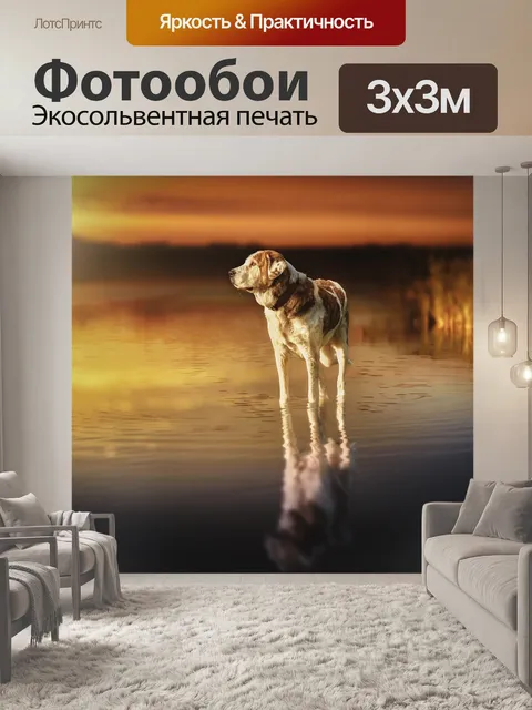 Фотообои Собака