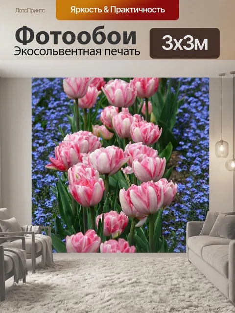 Фотообои Тюльпаны