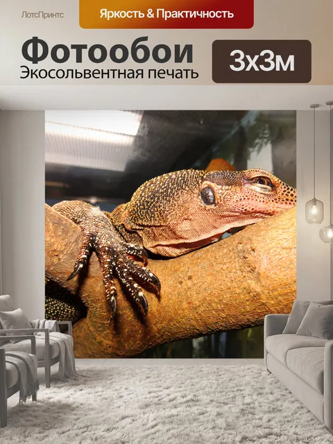 Фотообои Персик горлом монитор