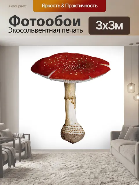 Фотообои Винтажное искусство Fly Agaric Mushroom