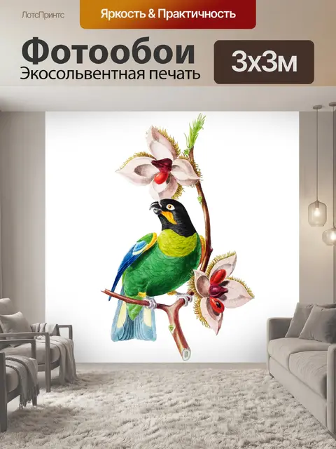Фотообои Птица Попугай Старинное Искусство