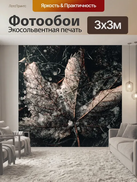 Фотообои Морозный