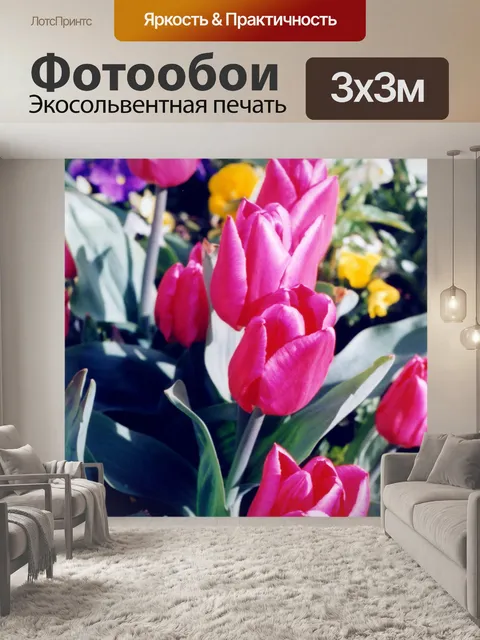 Фотообои Красивые тюльпаны Вашингтона