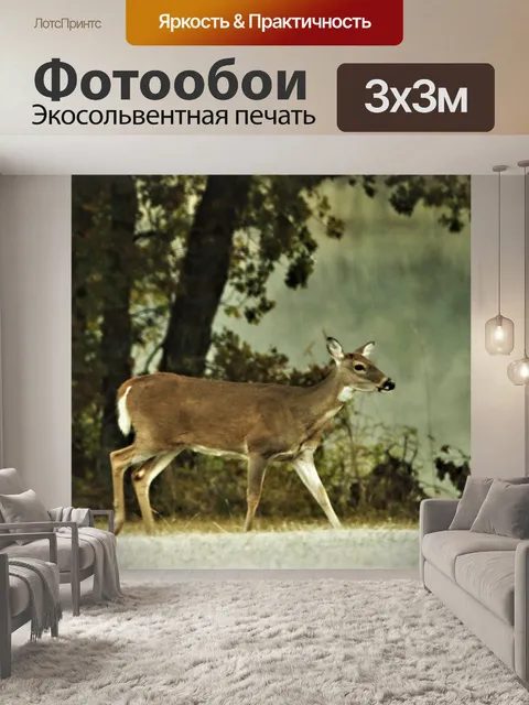Фотообои Белохвостый олень у туманного пруда