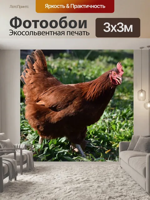 Фотообои Дорога остров красный