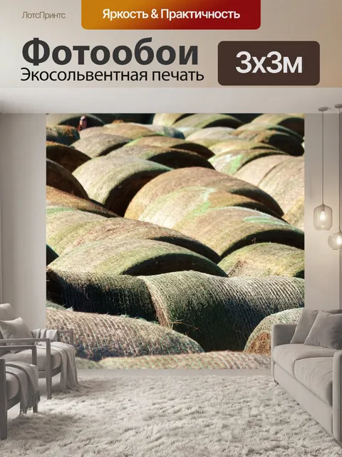 Фотообои Круглые сальники крупным планом