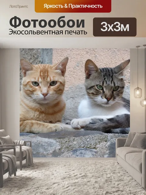 Фотообои Пара
