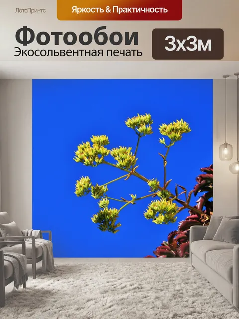 Фотообои красный сочные с желтыми цветами