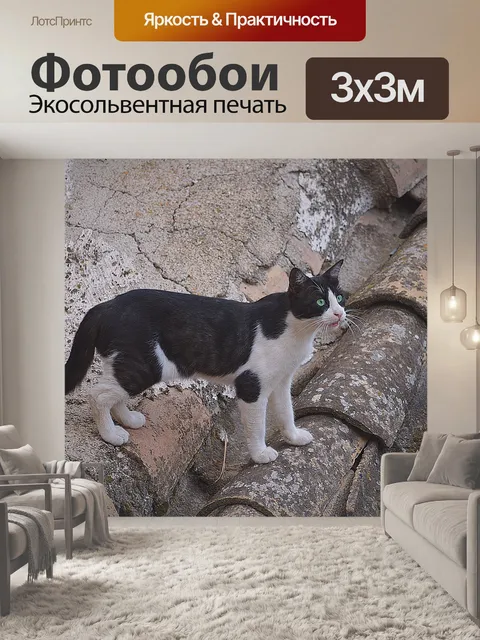 Фотообои Кошка на крыше