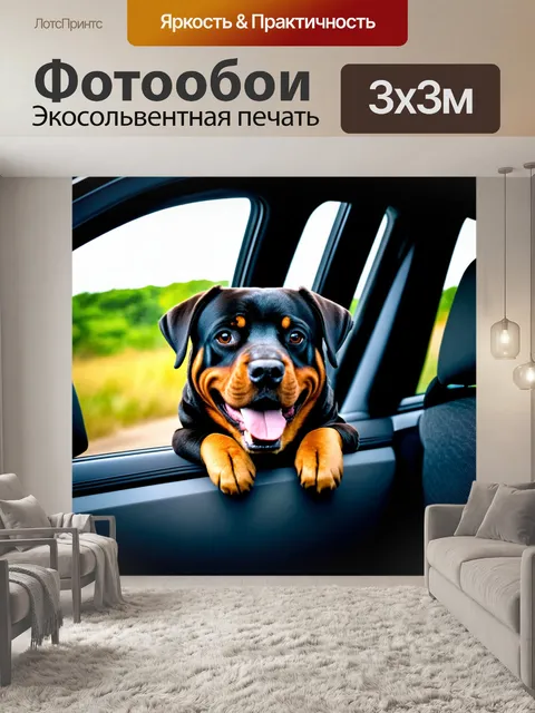 Фотообои ротвейлер, путешествующий с владельцем на автомобиле, выглядывающий из окна с восхищением