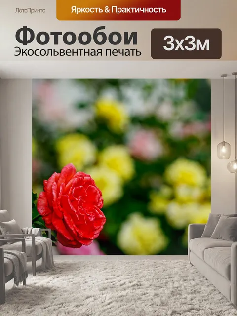 Фотообои Розы