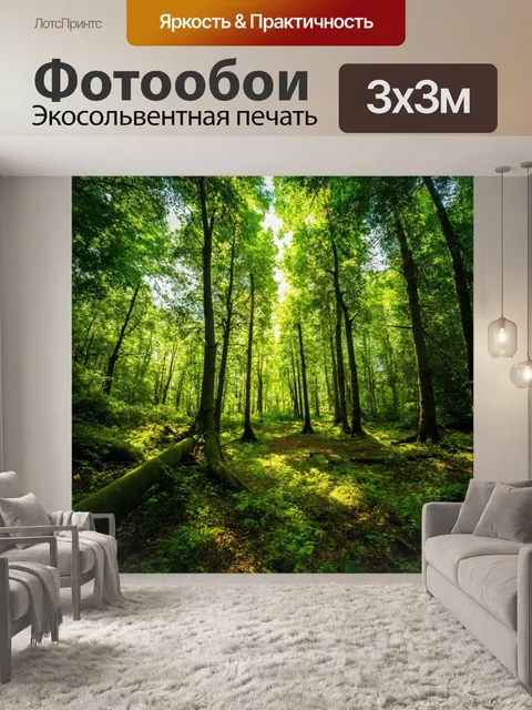 Фотообои лес с освежающим духом, наполняющим воздух