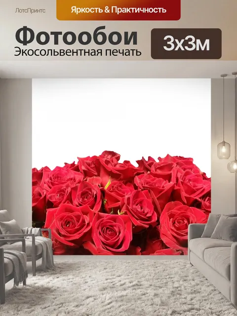 Фотообои Розы, изолированные на белом