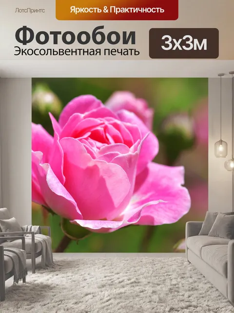 Фотообои Розовый цветок