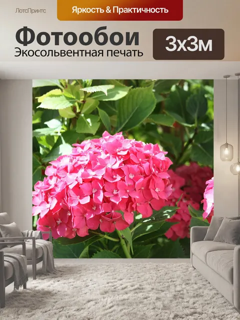 Фотообои Гортензия