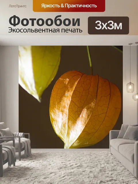 Фотообои Растение