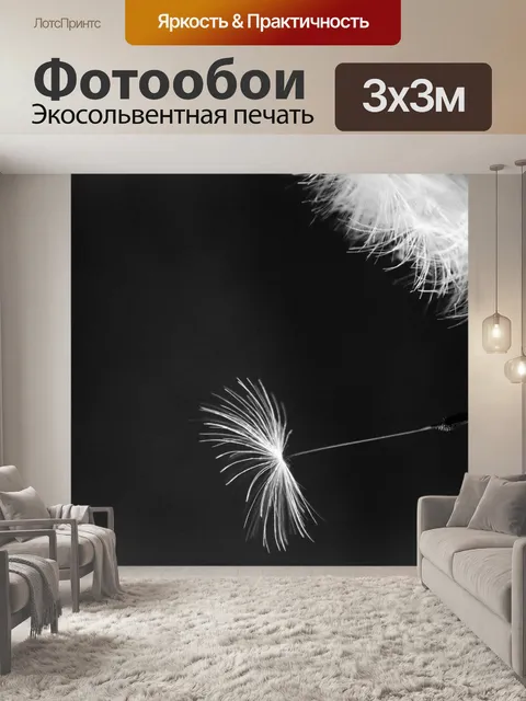 Фотообои Одуванчик на черном фоне