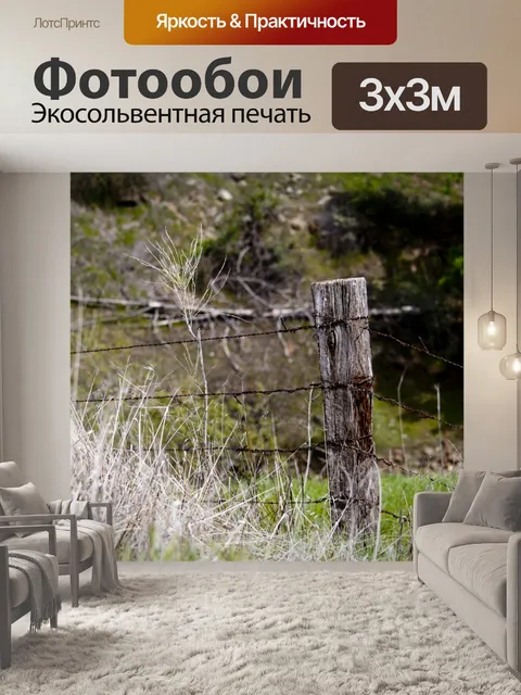 Фотообои Растистый забор из колючей проволоки