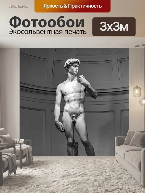 Фотообои Давид
