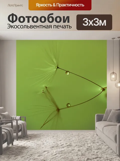 Фотообои Капли Зеркало роса