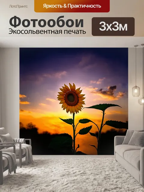 Фотообои подсолнух, величественно возвышающийся на фоне заката, окрашивает небо в теплые оранжевые и пурпурные тона