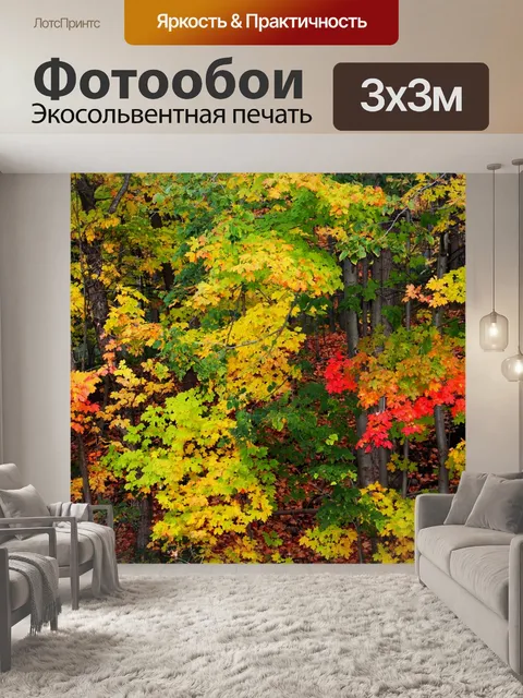 Фотообои Вид