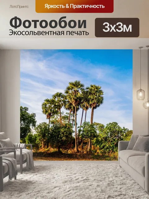 Фотообои Сахарная пальма