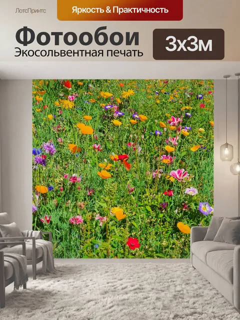 Фотообои Красочные луговые цветы