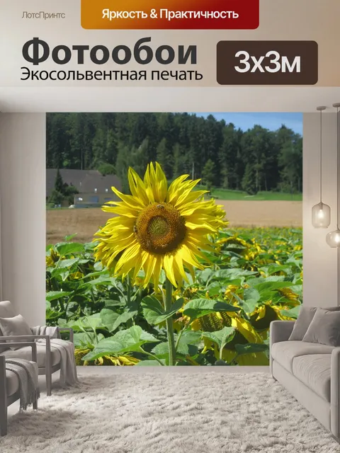Фотообои Солнце
