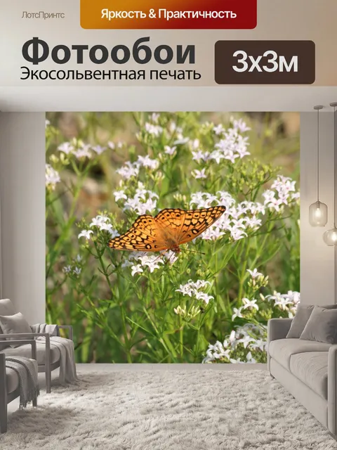 Фотообои Пестрая бабочка 9