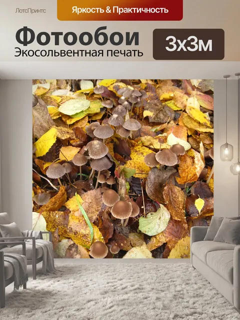 Фотообои Рулевой