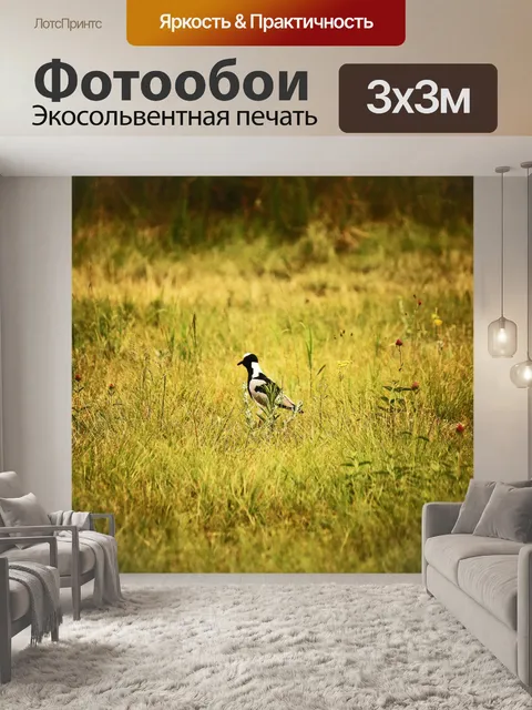 Фотообои черно-белая ржанка
