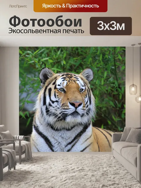 Фотообои Тигр