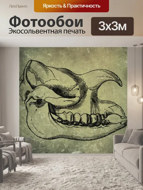Фотообои череп животного