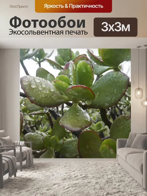 Фотообои Капли дождя на листьях