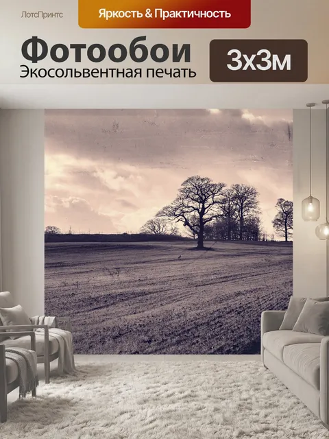 Фотообои Деревья без листьев