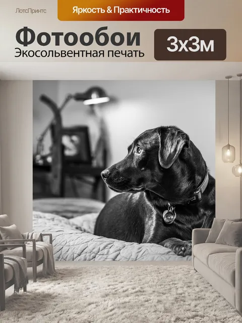 Фотообои Собака