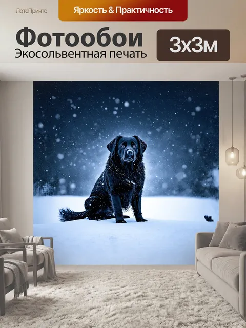 Фотообои черный ньюфаундленд величественно сидит на вершине снежного холма, окруженный белоснежными снежинками