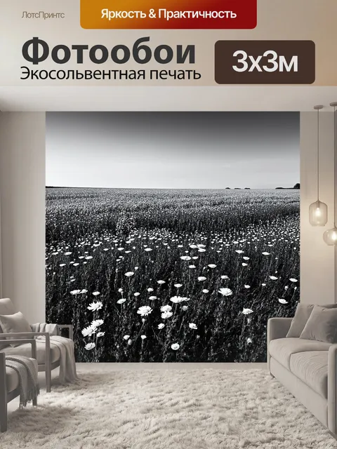 Фотообои черно-белый, на которых представлено поле с цветами, уходящими за горизонт