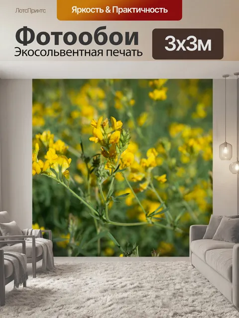 Фотообои Желтые цветы, полевые цветы, бутоны