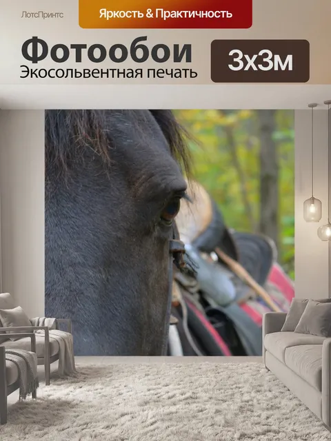Фотообои Верховая лица